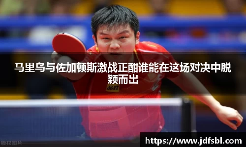 马里乌与佐加顿斯激战正酣谁能在这场对决中脱颖而出